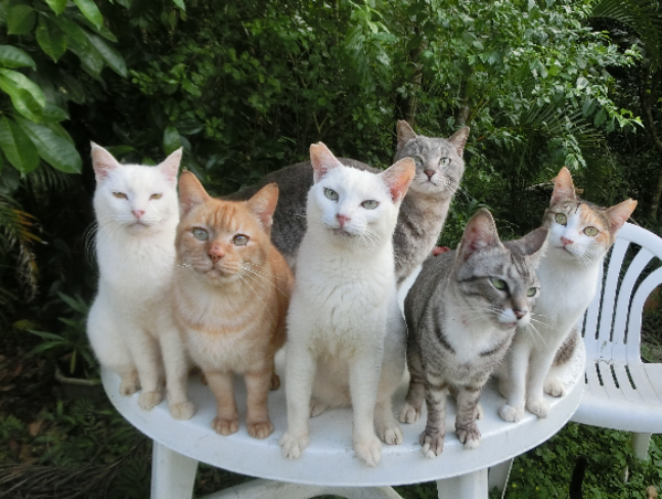 A17c9aaa61e80a1bf71d0d850af4e5baa9800bbd