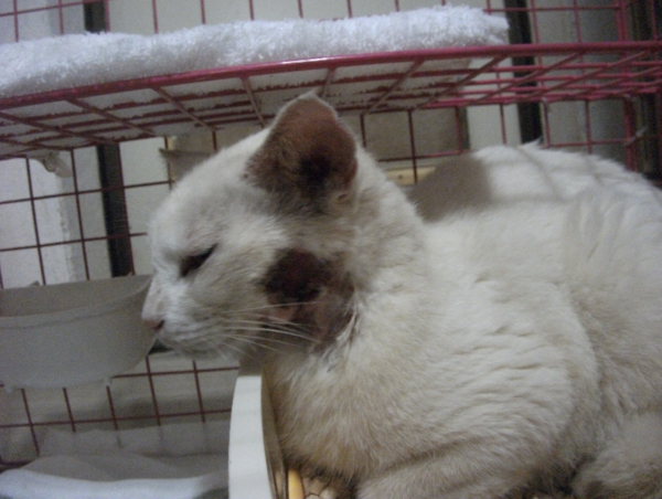 A17c9aaa61e80a1bf71d0d850af4e5baa9800bbd