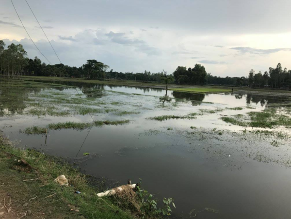 A17c9aaa61e80a1bf71d0d850af4e5baa9800bbd