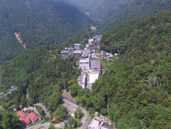 A17c9aaa61e80a1bf71d0d850af4e5baa9800bbd