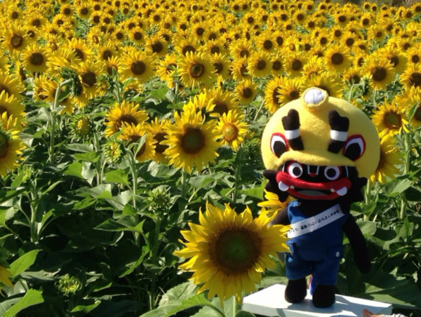 A17c9aaa61e80a1bf71d0d850af4e5baa9800bbd