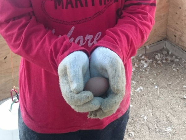 A17c9aaa61e80a1bf71d0d850af4e5baa9800bbd