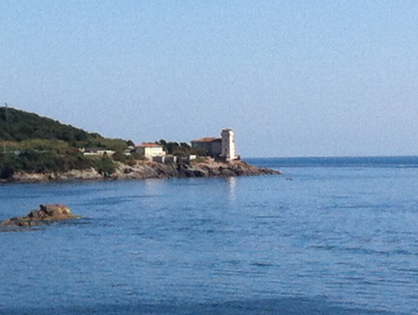 A17c9aaa61e80a1bf71d0d850af4e5baa9800bbd