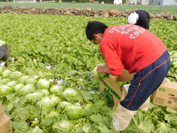 A17c9aaa61e80a1bf71d0d850af4e5baa9800bbd