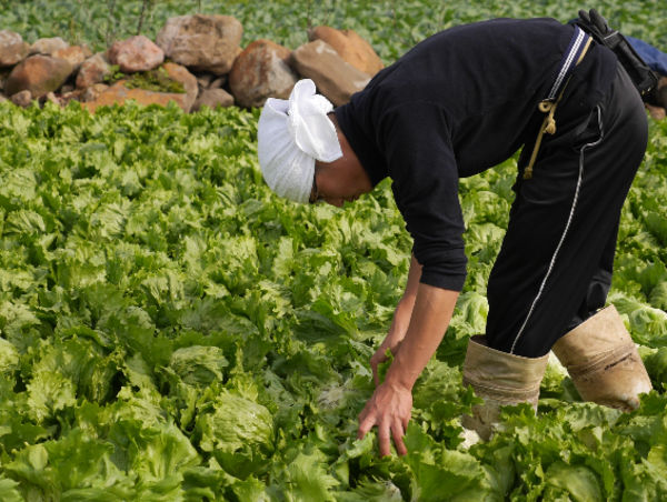 A17c9aaa61e80a1bf71d0d850af4e5baa9800bbd