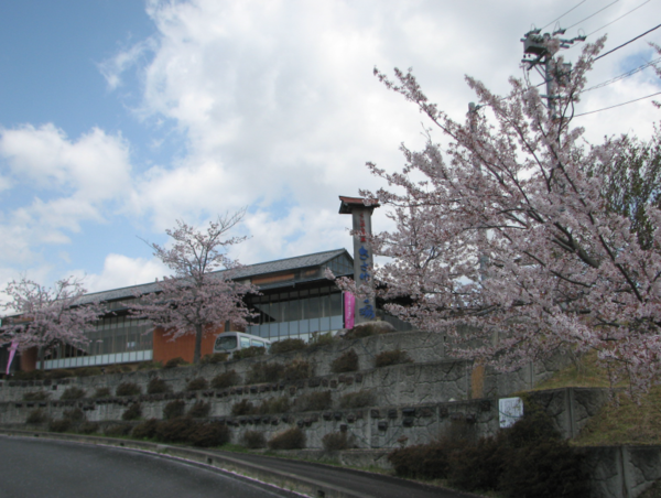 A17c9aaa61e80a1bf71d0d850af4e5baa9800bbd