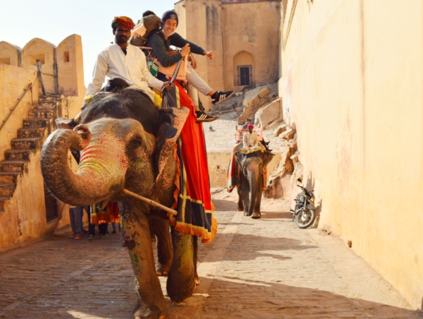 A17c9aaa61e80a1bf71d0d850af4e5baa9800bbd