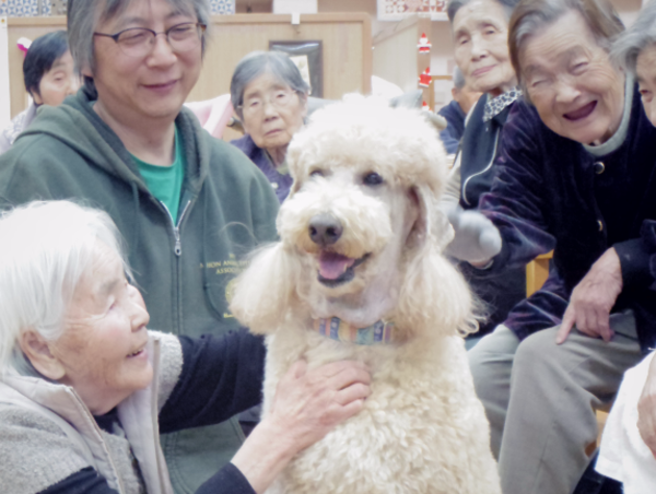 A17c9aaa61e80a1bf71d0d850af4e5baa9800bbd