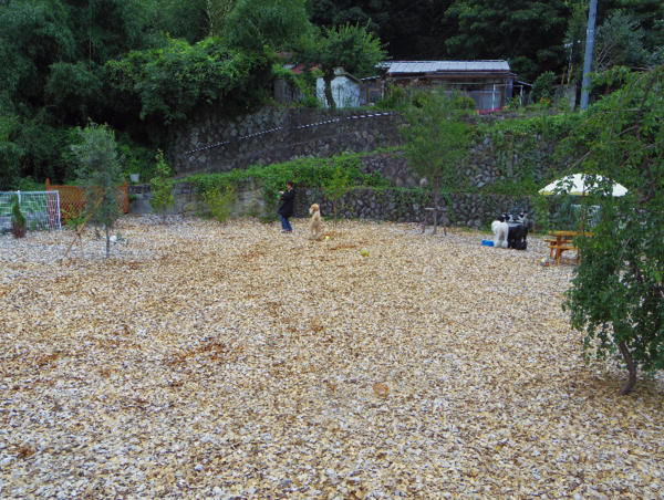 A17c9aaa61e80a1bf71d0d850af4e5baa9800bbd