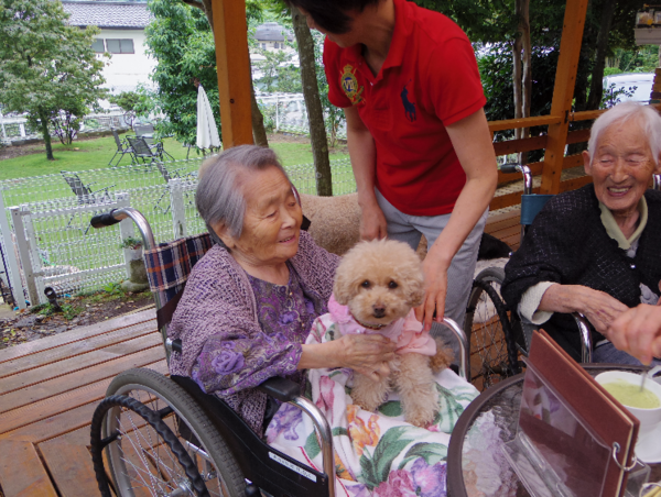 A17c9aaa61e80a1bf71d0d850af4e5baa9800bbd