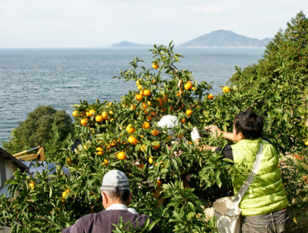 A17c9aaa61e80a1bf71d0d850af4e5baa9800bbd