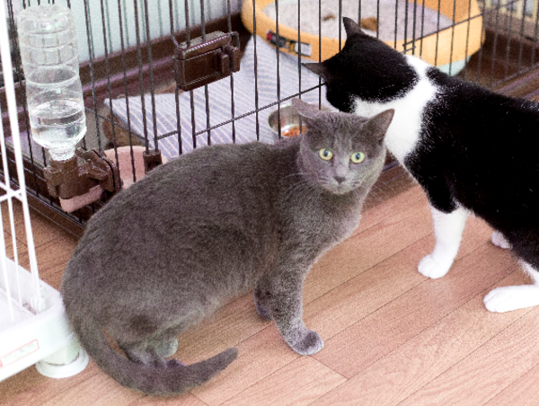 A17c9aaa61e80a1bf71d0d850af4e5baa9800bbd