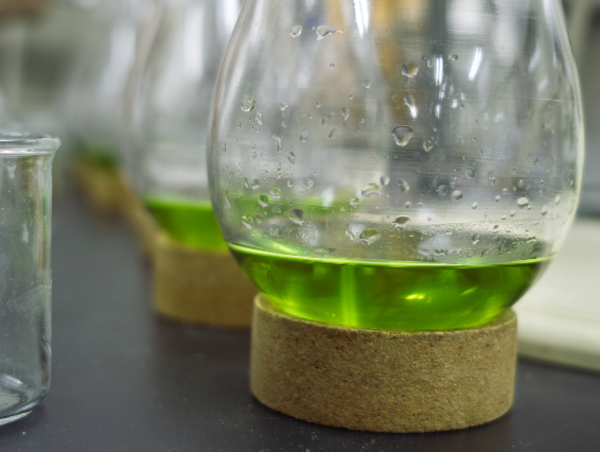 A17c9aaa61e80a1bf71d0d850af4e5baa9800bbd