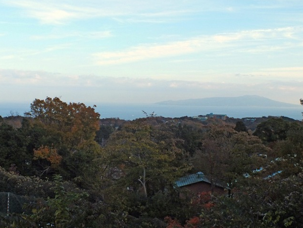 A17c9aaa61e80a1bf71d0d850af4e5baa9800bbd