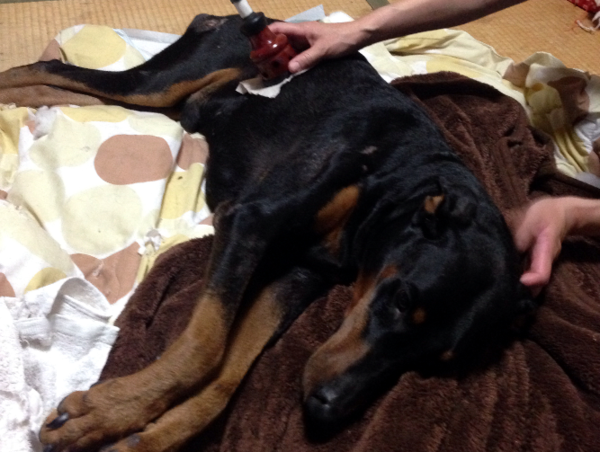 A17c9aaa61e80a1bf71d0d850af4e5baa9800bbd