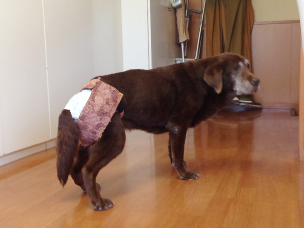 A17c9aaa61e80a1bf71d0d850af4e5baa9800bbd