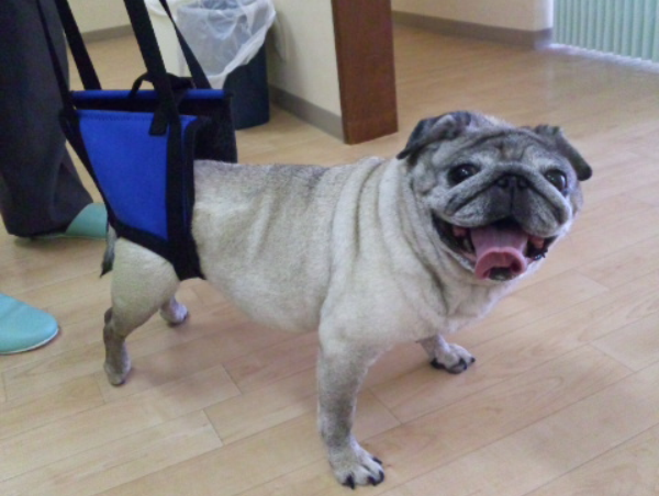 A17c9aaa61e80a1bf71d0d850af4e5baa9800bbd