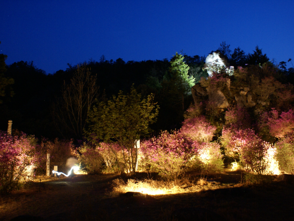 A17c9aaa61e80a1bf71d0d850af4e5baa9800bbd