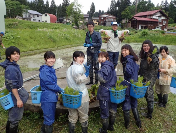 A17c9aaa61e80a1bf71d0d850af4e5baa9800bbd