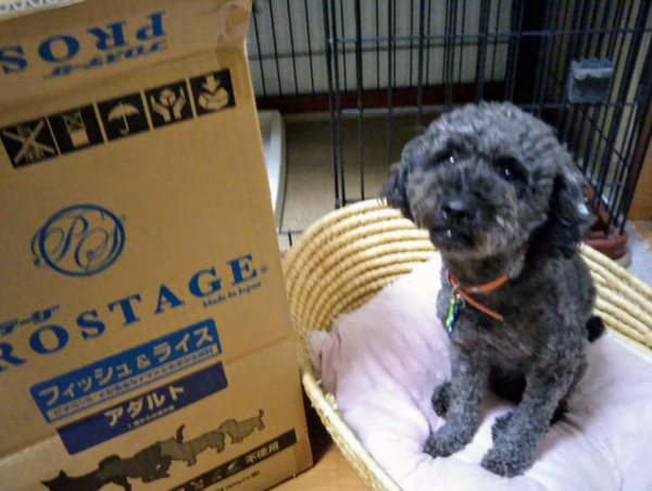 A17c9aaa61e80a1bf71d0d850af4e5baa9800bbd