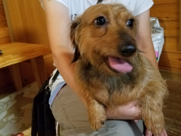 A17c9aaa61e80a1bf71d0d850af4e5baa9800bbd