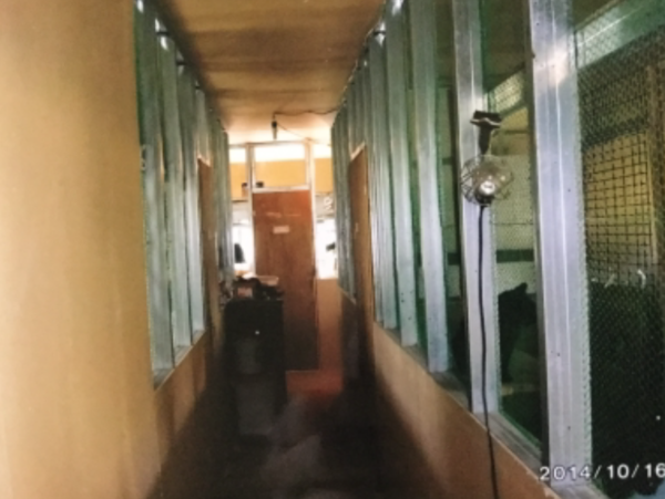 A17c9aaa61e80a1bf71d0d850af4e5baa9800bbd