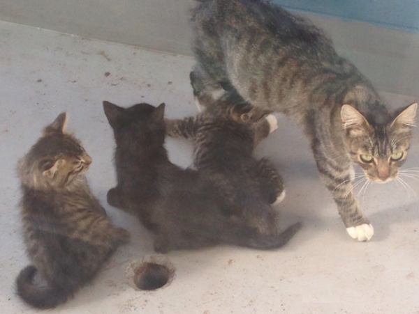 A17c9aaa61e80a1bf71d0d850af4e5baa9800bbd