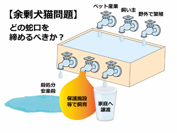 A17c9aaa61e80a1bf71d0d850af4e5baa9800bbd