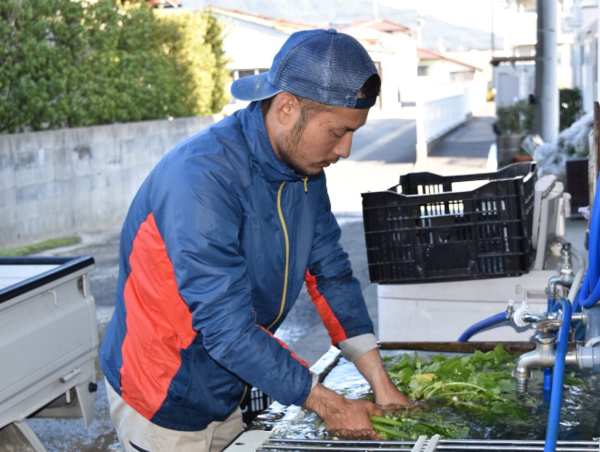 A17c9aaa61e80a1bf71d0d850af4e5baa9800bbd