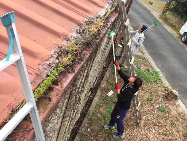 A17c9aaa61e80a1bf71d0d850af4e5baa9800bbd