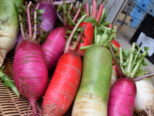 A17c9aaa61e80a1bf71d0d850af4e5baa9800bbd