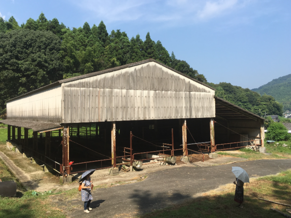 A17c9aaa61e80a1bf71d0d850af4e5baa9800bbd