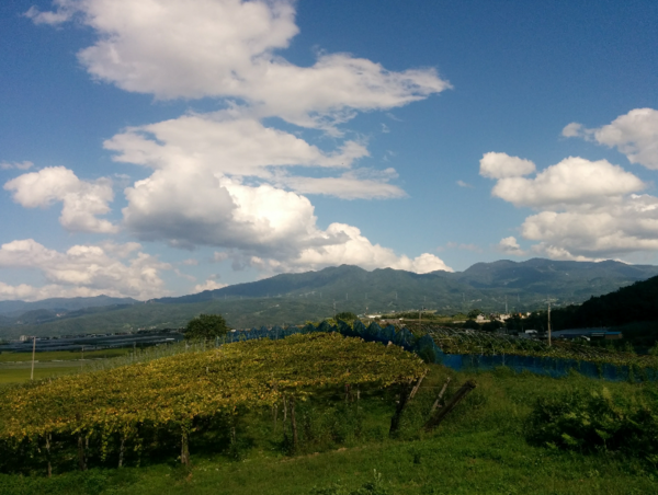 A17c9aaa61e80a1bf71d0d850af4e5baa9800bbd