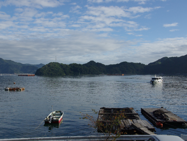 A17c9aaa61e80a1bf71d0d850af4e5baa9800bbd