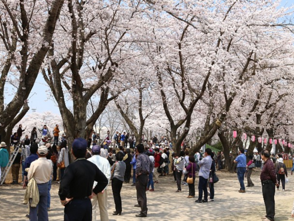 A17c9aaa61e80a1bf71d0d850af4e5baa9800bbd