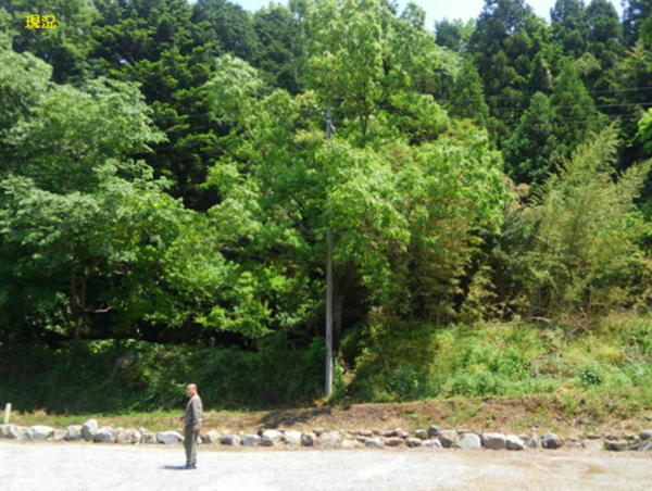 A17c9aaa61e80a1bf71d0d850af4e5baa9800bbd