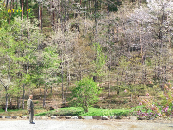 A17c9aaa61e80a1bf71d0d850af4e5baa9800bbd