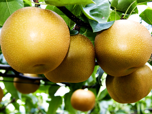 A17c9aaa61e80a1bf71d0d850af4e5baa9800bbd