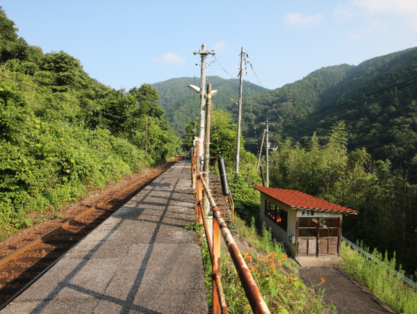 A17c9aaa61e80a1bf71d0d850af4e5baa9800bbd