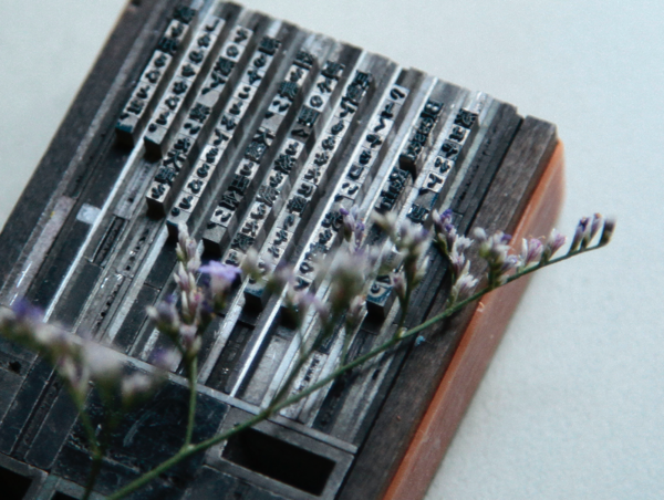 A17c9aaa61e80a1bf71d0d850af4e5baa9800bbd