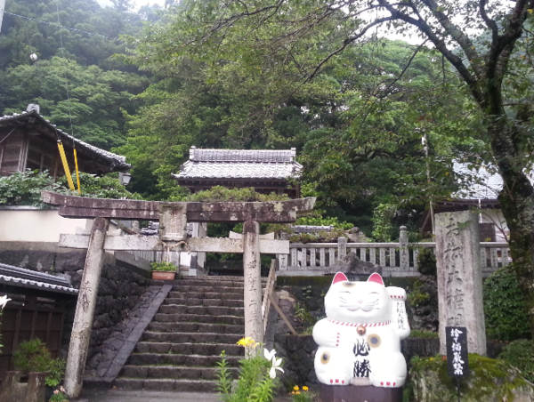 A17c9aaa61e80a1bf71d0d850af4e5baa9800bbd