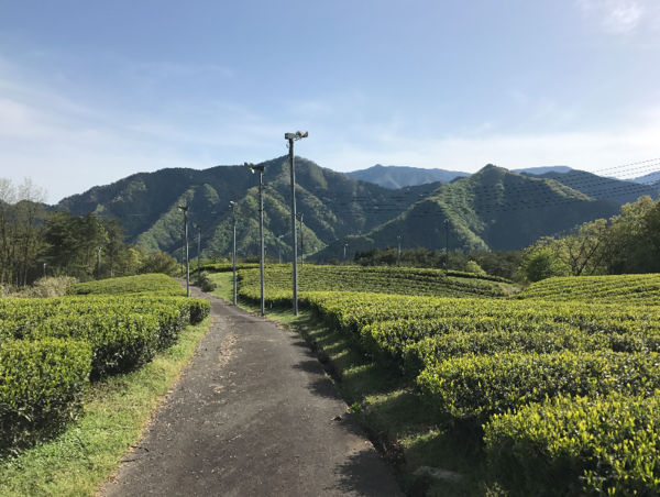 A17c9aaa61e80a1bf71d0d850af4e5baa9800bbd