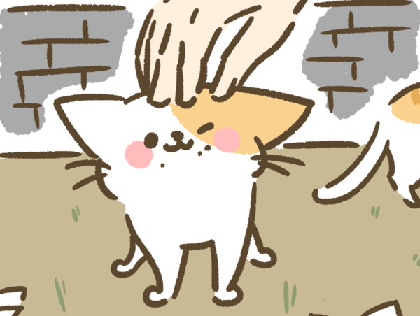 A17c9aaa61e80a1bf71d0d850af4e5baa9800bbd