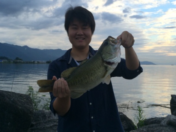 A17c9aaa61e80a1bf71d0d850af4e5baa9800bbd