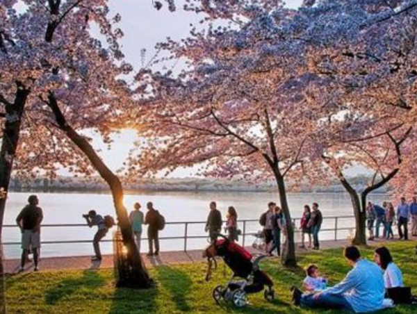 A17c9aaa61e80a1bf71d0d850af4e5baa9800bbd