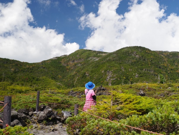 A17c9aaa61e80a1bf71d0d850af4e5baa9800bbd