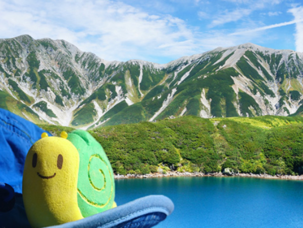 A17c9aaa61e80a1bf71d0d850af4e5baa9800bbd