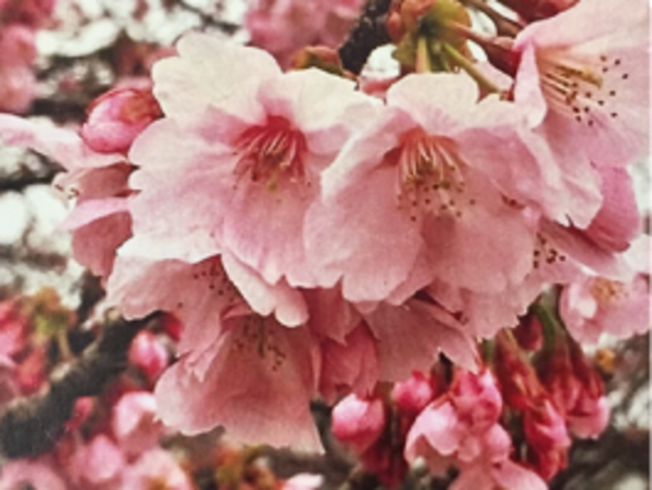 A17c9aaa61e80a1bf71d0d850af4e5baa9800bbd