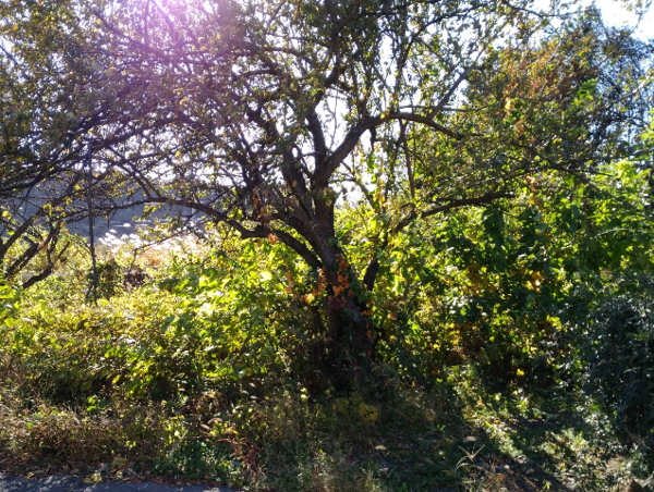 A17c9aaa61e80a1bf71d0d850af4e5baa9800bbd