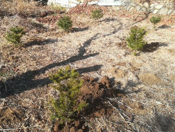 A17c9aaa61e80a1bf71d0d850af4e5baa9800bbd